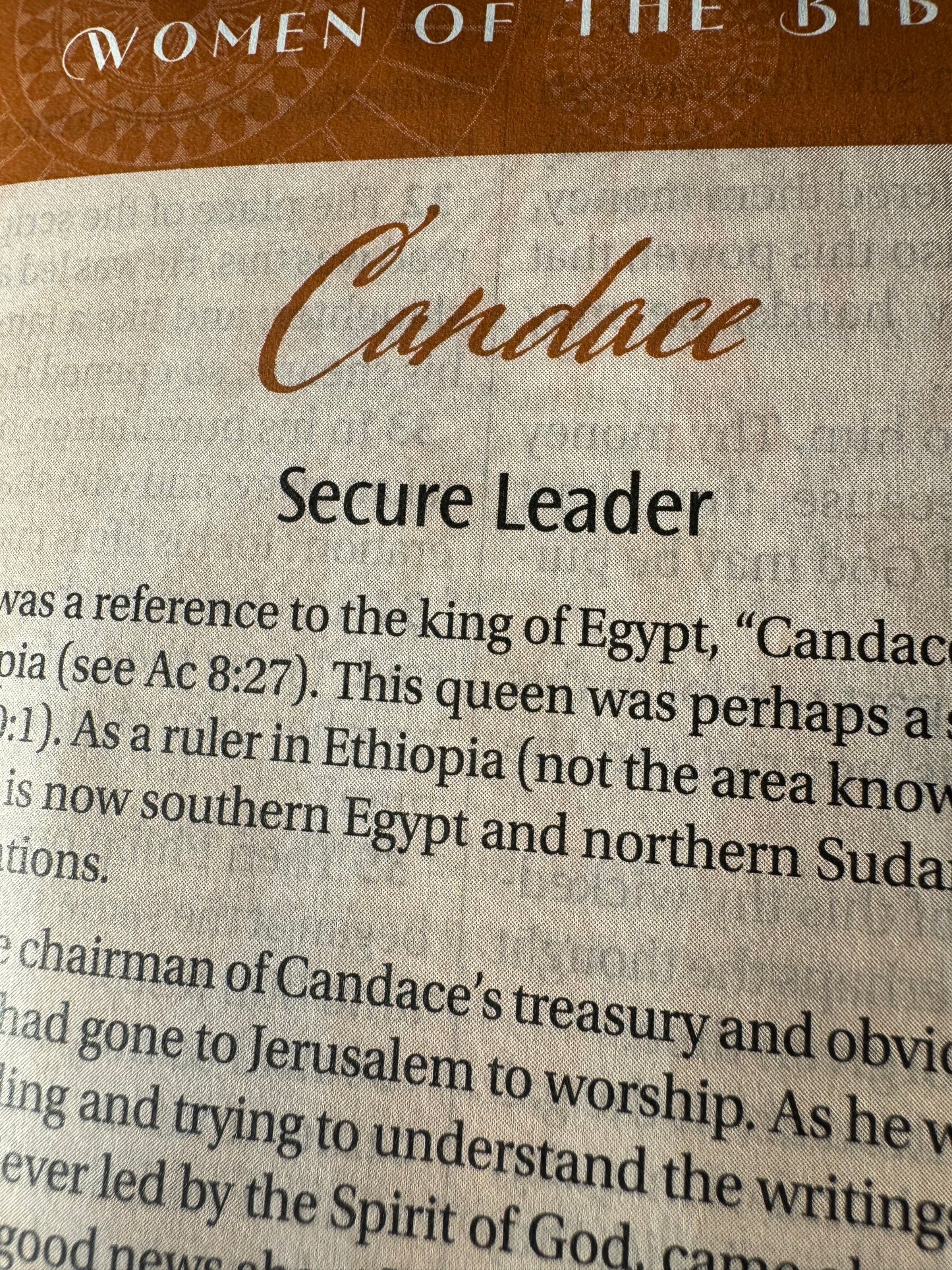 Women of Color Study Bible Purple - Indexed