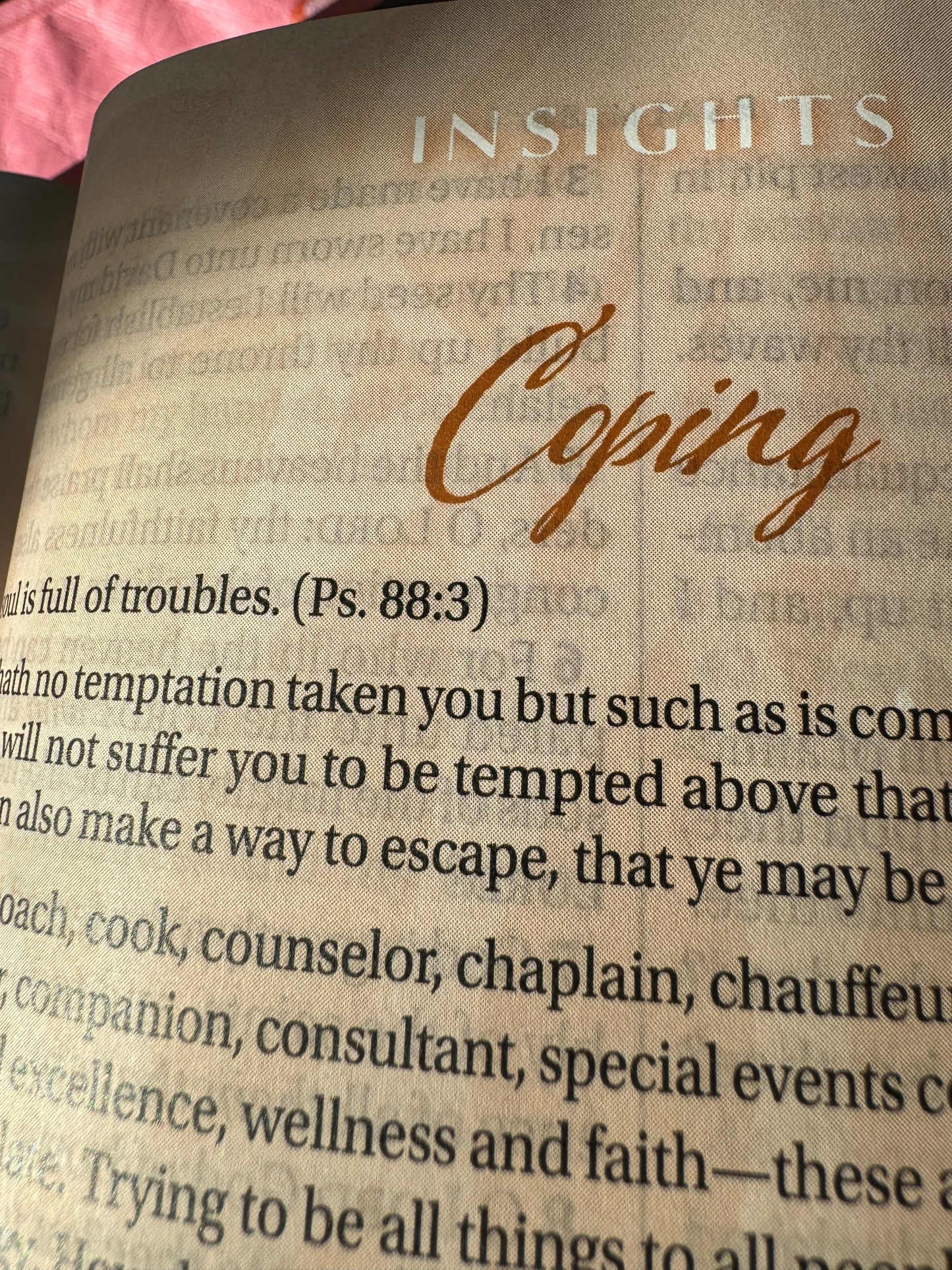Women of Color Study Bible Purple - Indexed