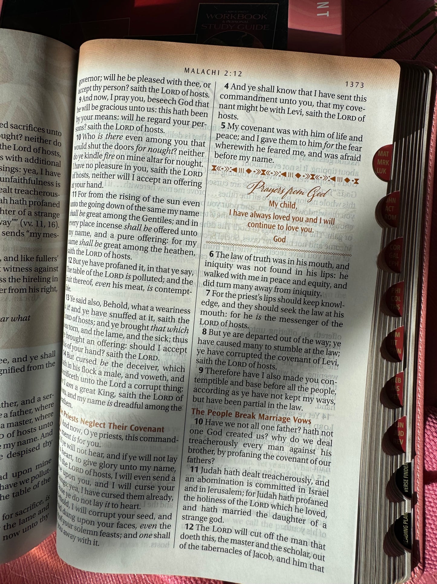 Women of Color Study Bible Purple - Indexed