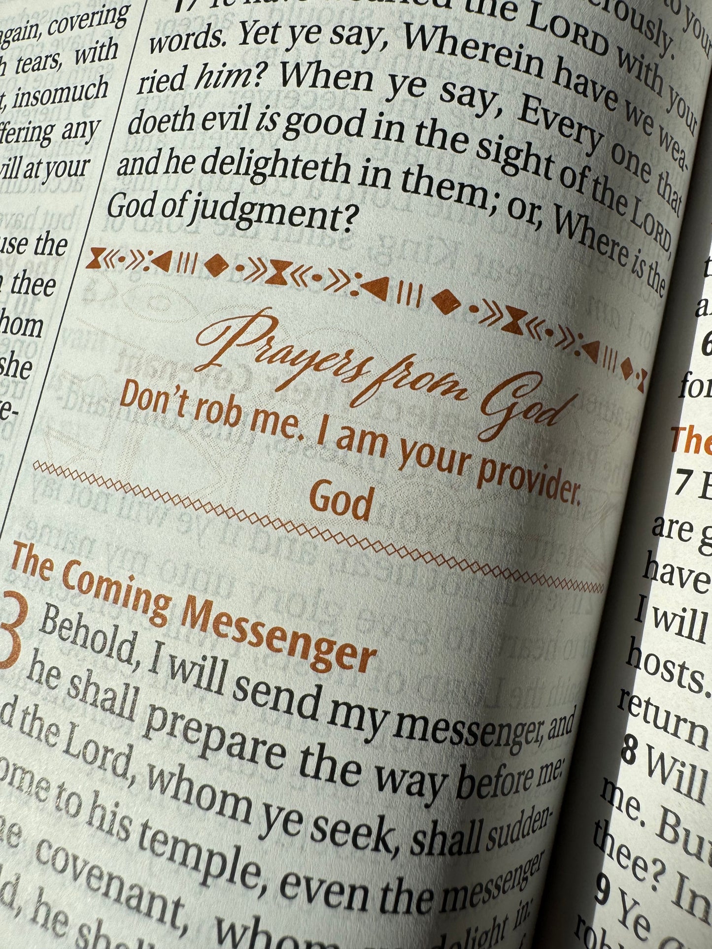 Women of Color Study Bible Purple - Indexed