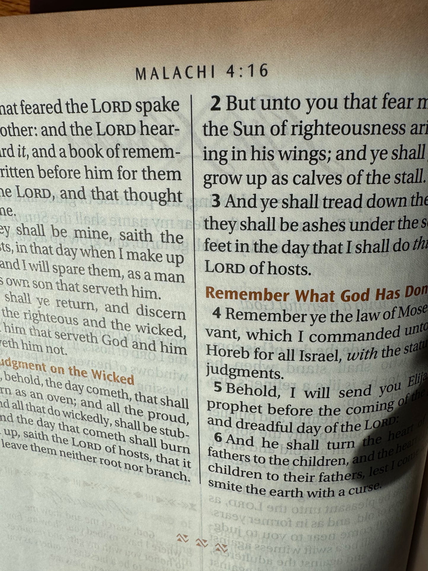 Women of Color Study Bible Purple - Indexed