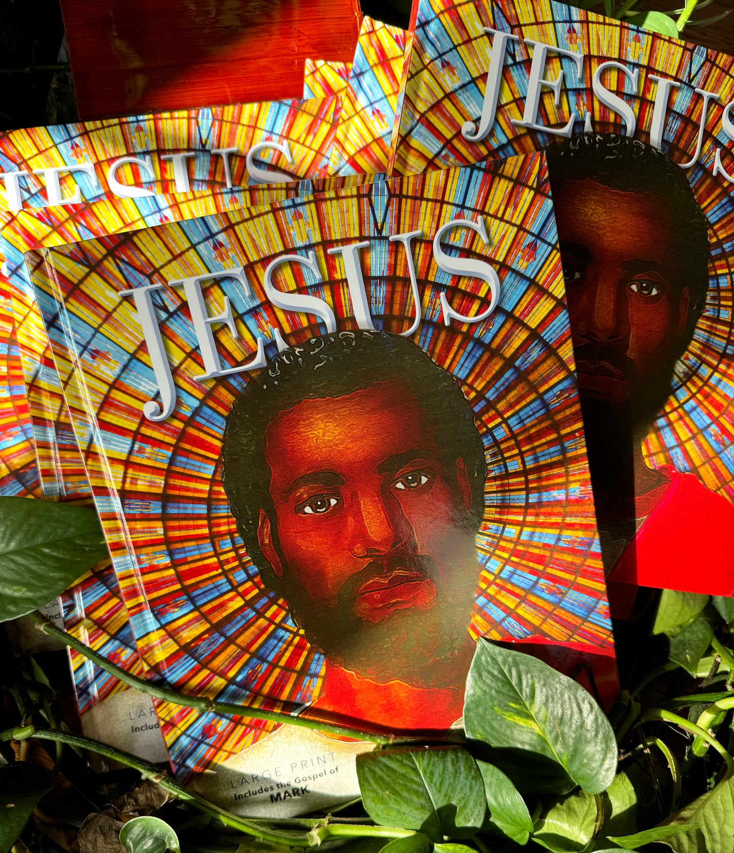 Jesus Book - Full Color - Large Coffee Table Sized Book