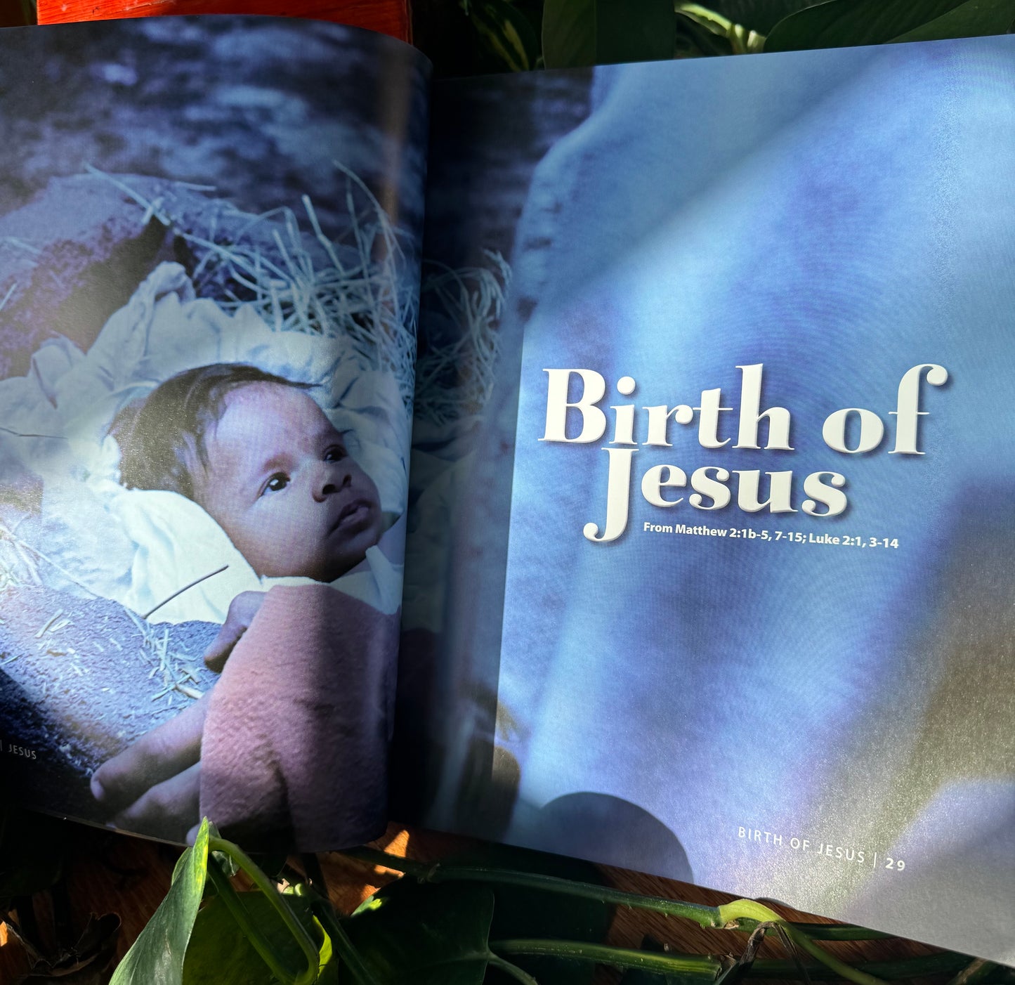 Jesus Book - Full Color - Large Coffee Table Sized Book