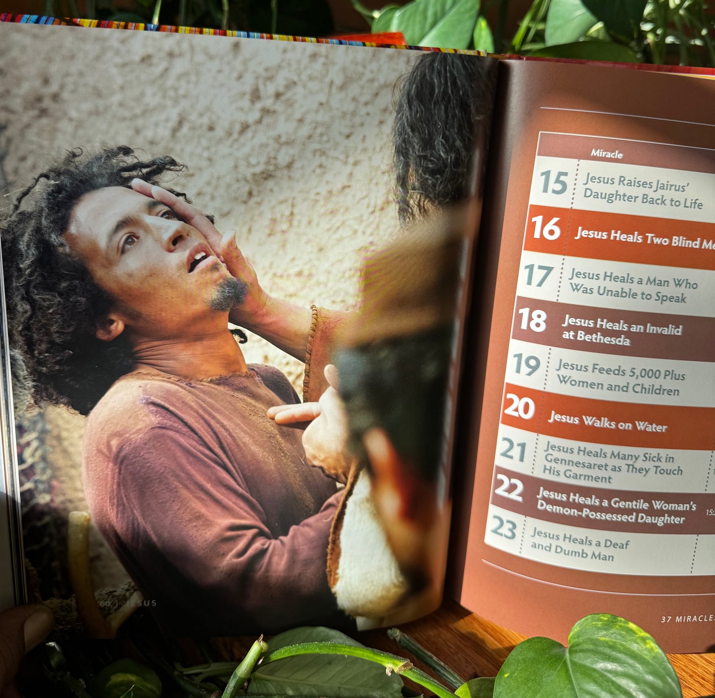 Jesus Book - Full Color - Large Coffee Table Sized Book