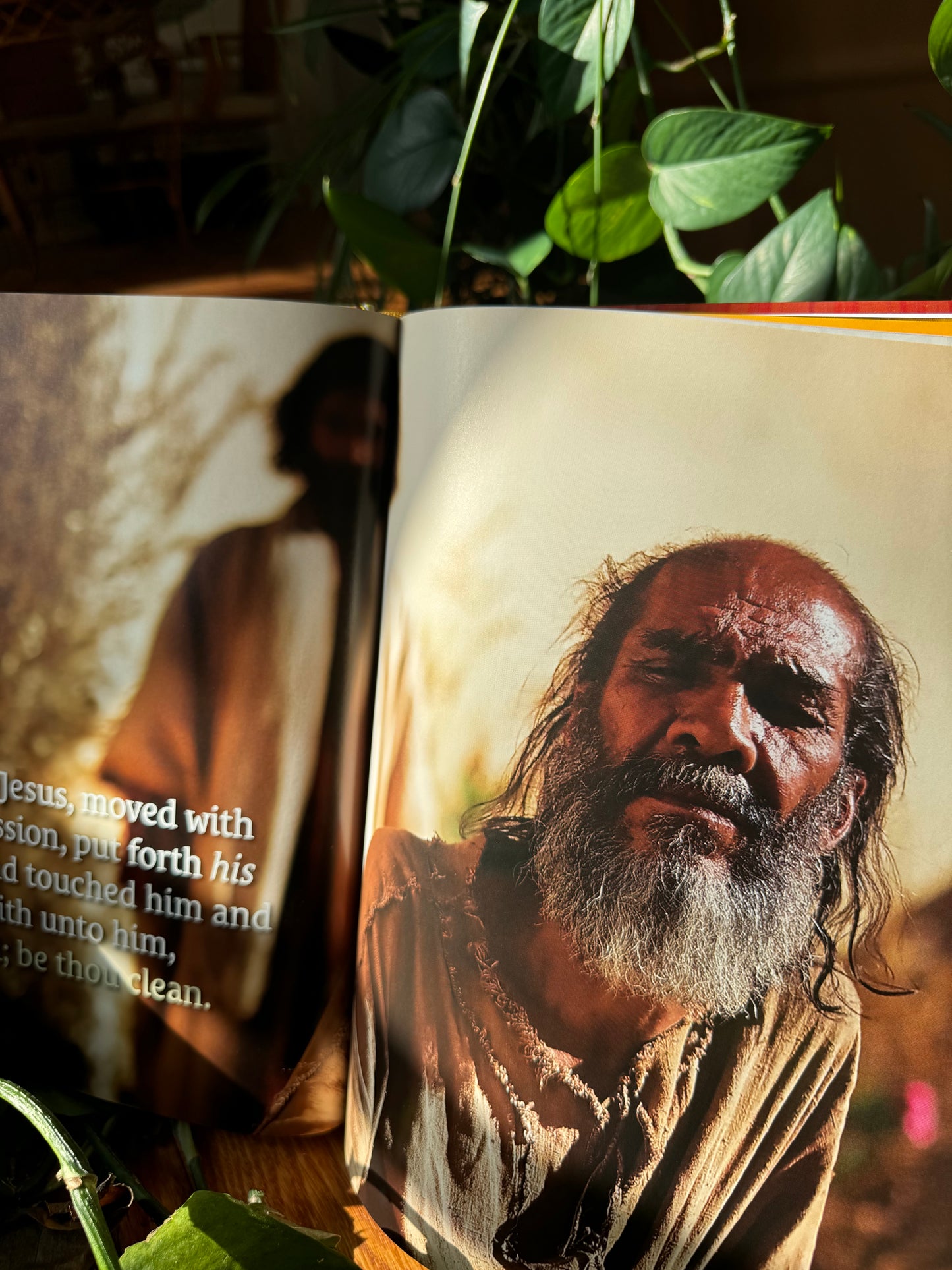 Jesus Book - Full Color - Large Coffee Table Sized Book