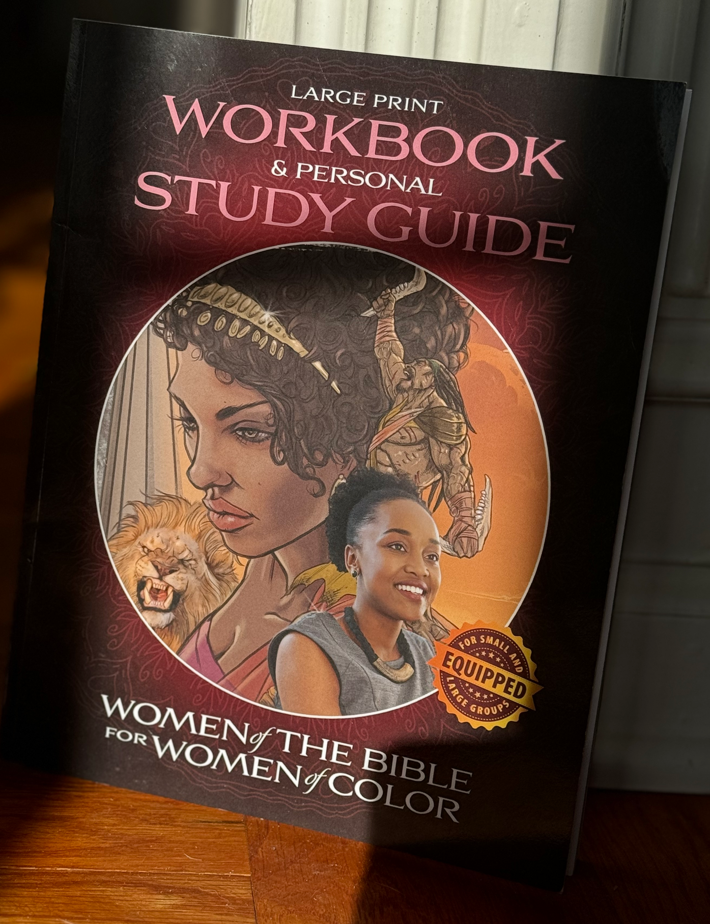 Small Group Women of Color Package Of 10 - PURPLE INDEXED Bibles