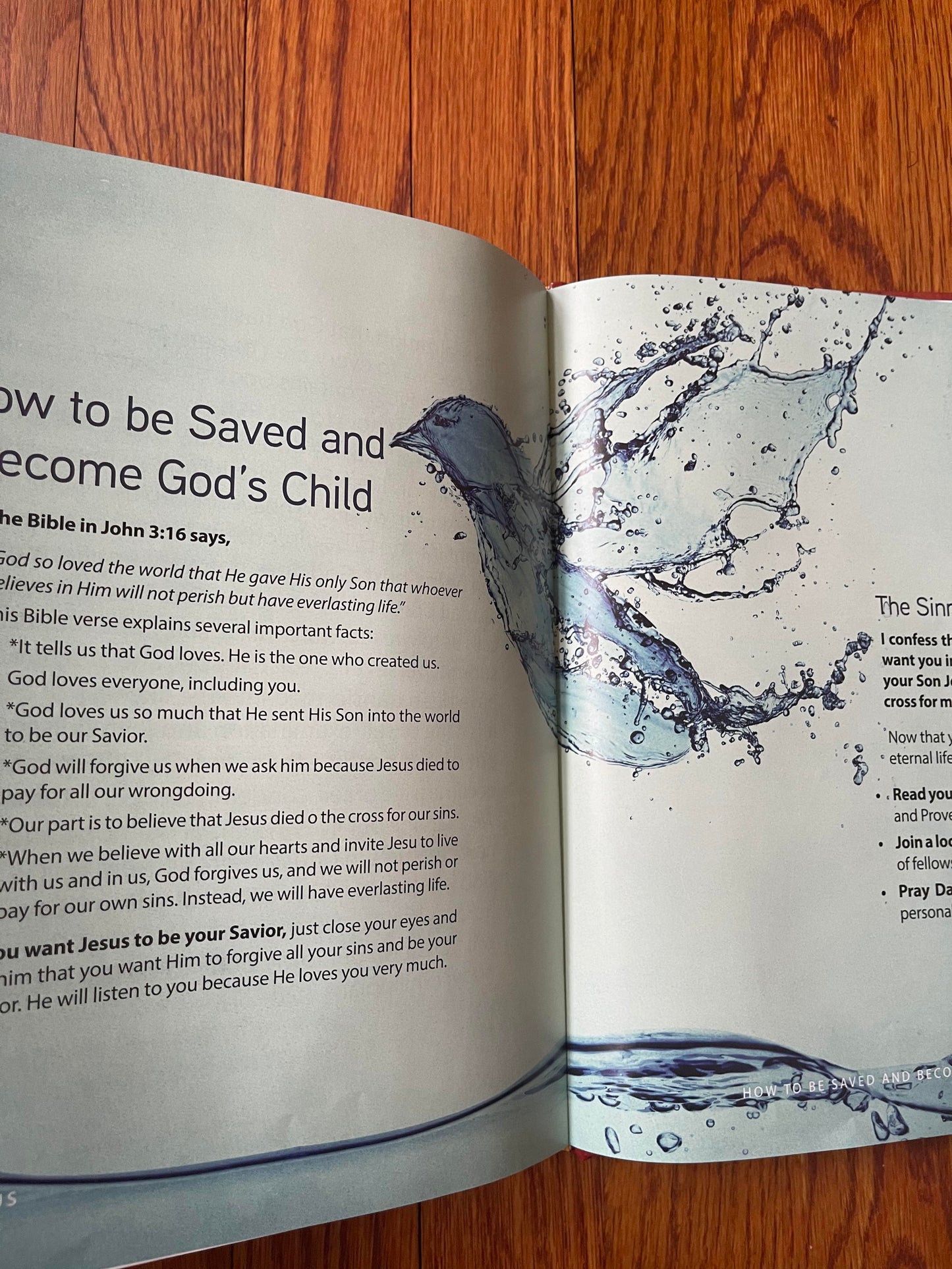 Jesus Book - Full Color - Large Coffee Table Sized Book