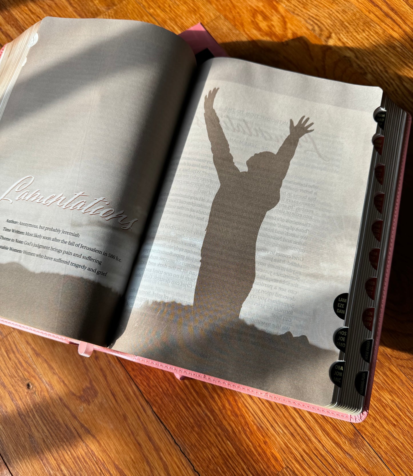 Women of Color Study Bible Purple - Indexed