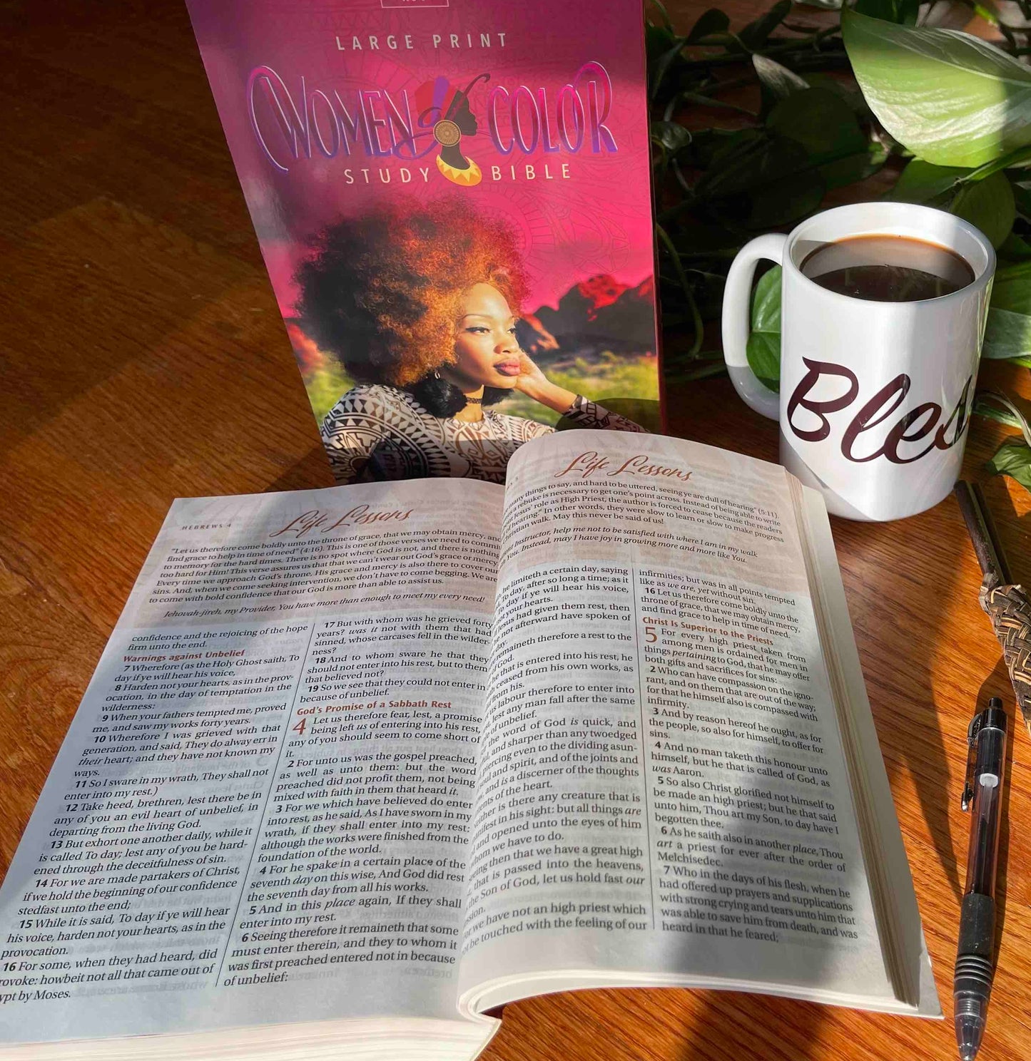 Women of Color Study Bible - Purple