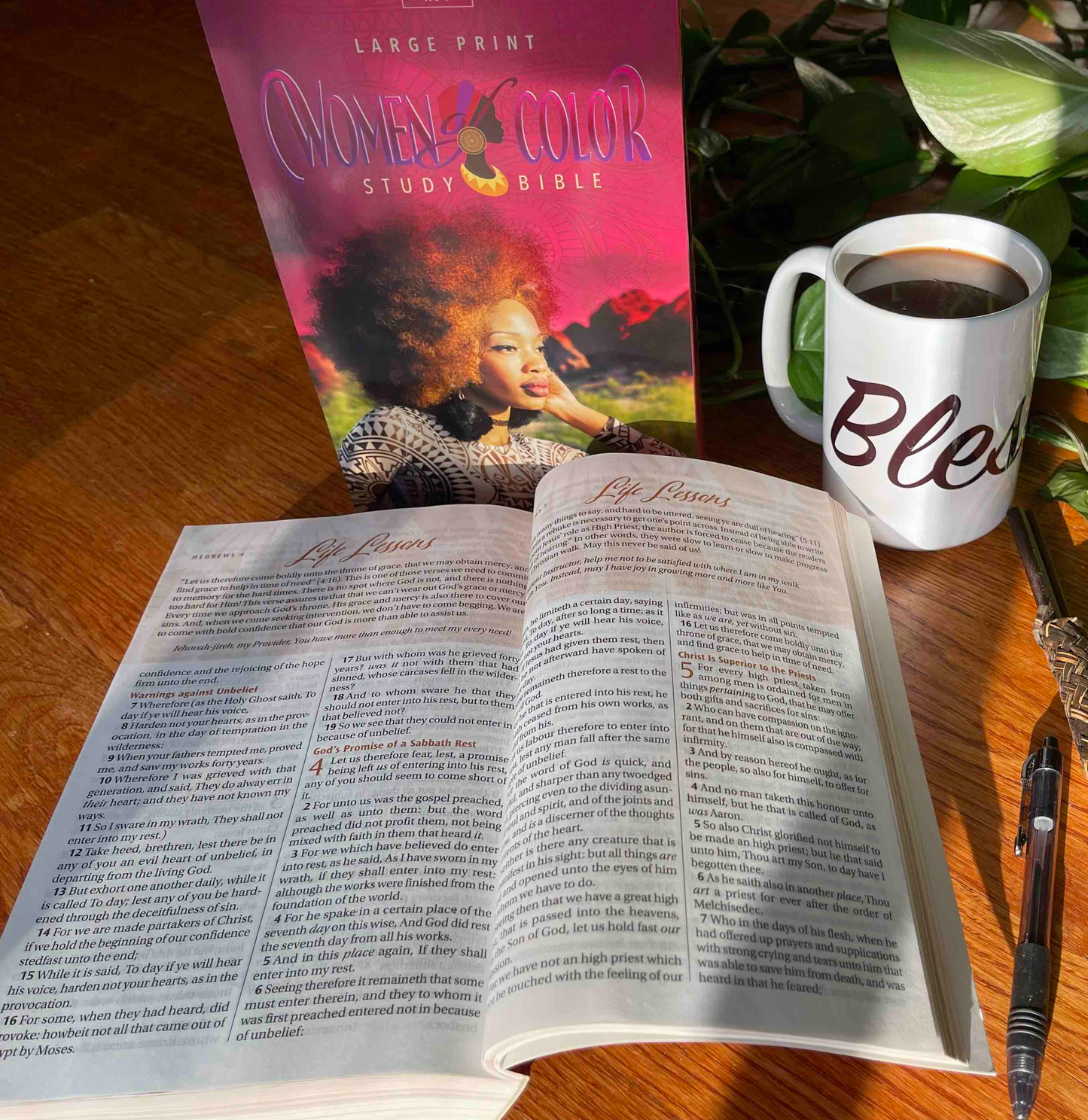 Women of Color Study Bible - Paperback