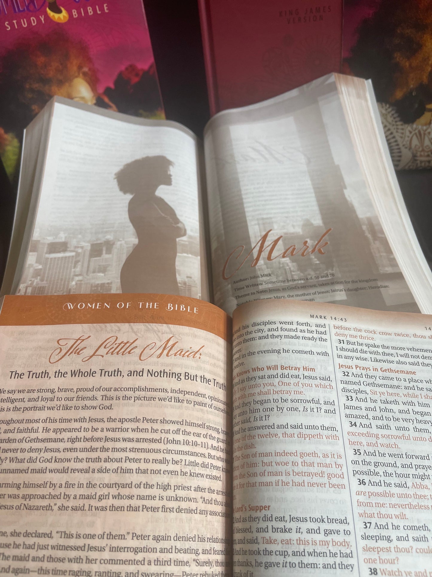 Women of Color Study Bible - Purple