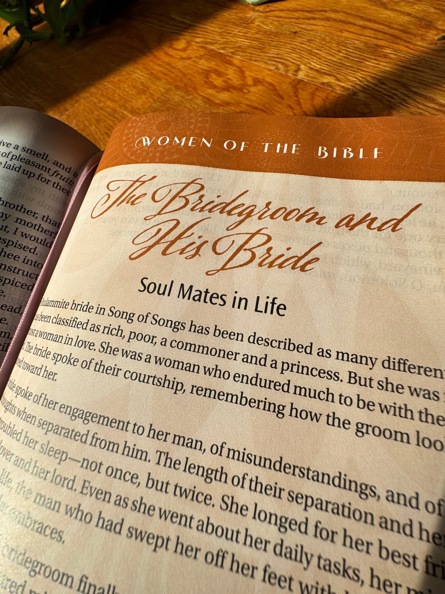 Women of Color Study Bible - Purple