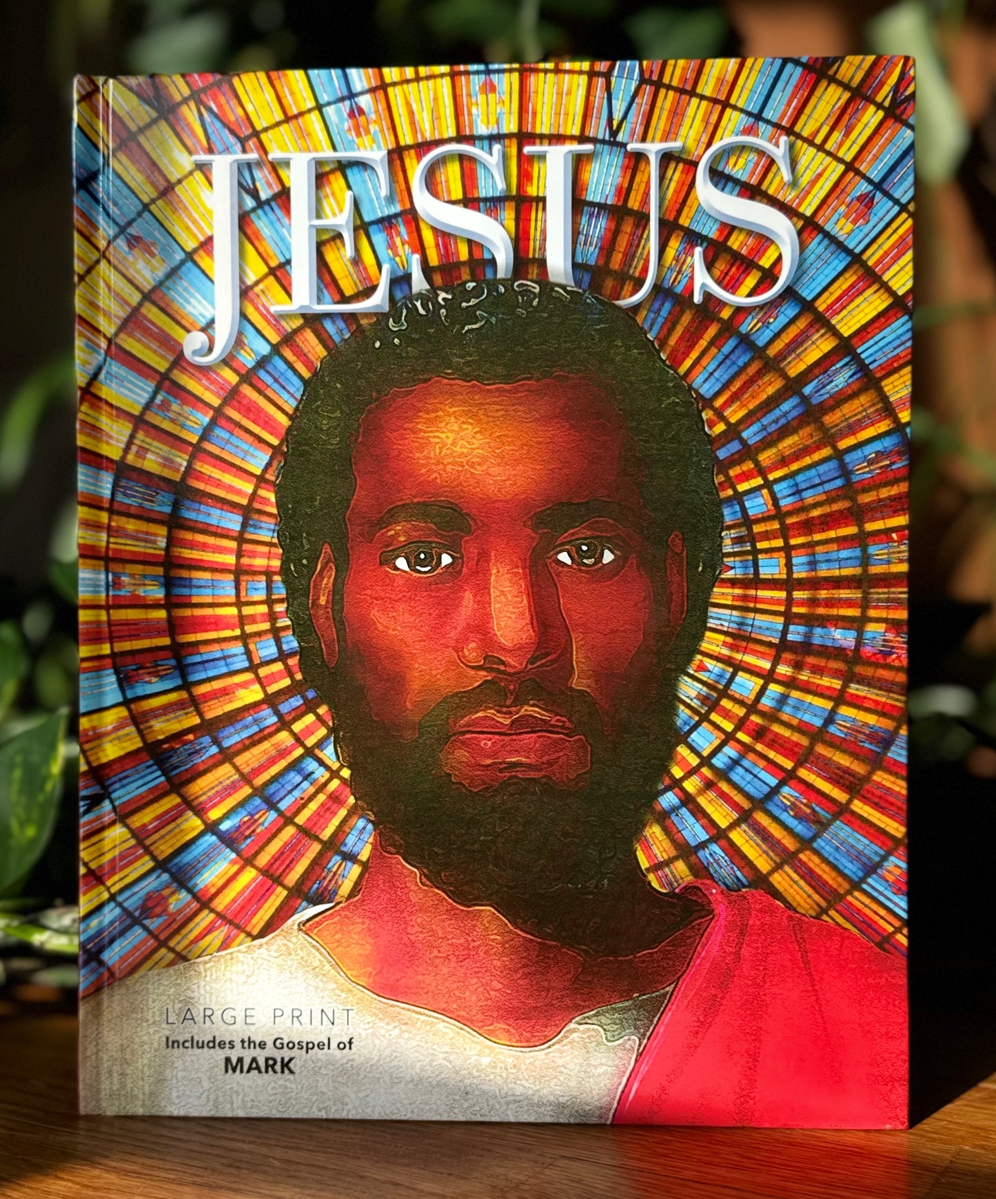 Jesus Book - 3 Pack -Full Color - Large Coffee Table Sized Book