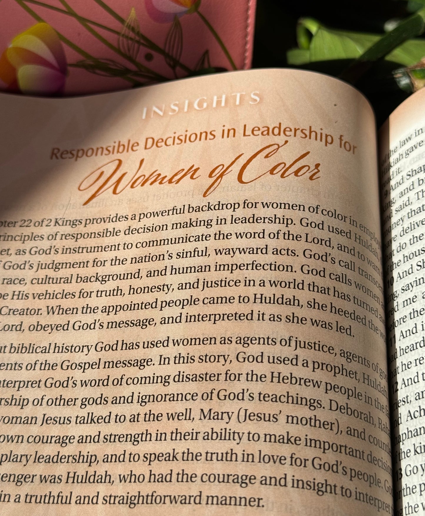 Women of Color Study Bible - Paperback - INDEXED