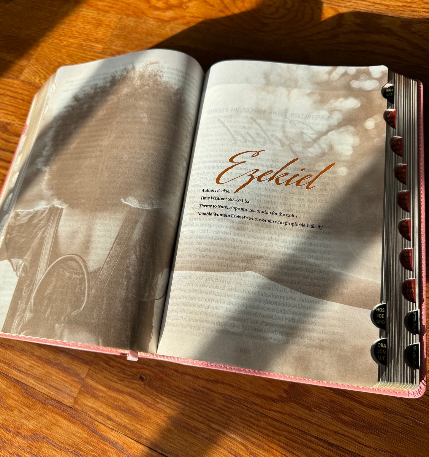 Women of Color Study Bible - PINK - Luxleather